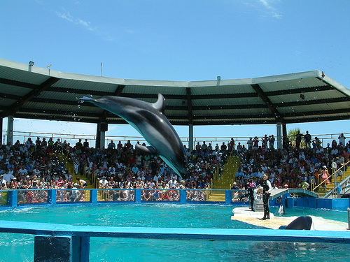 Miami_seaquarium