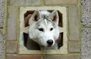 image0011