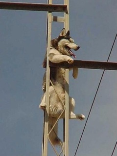 image0055