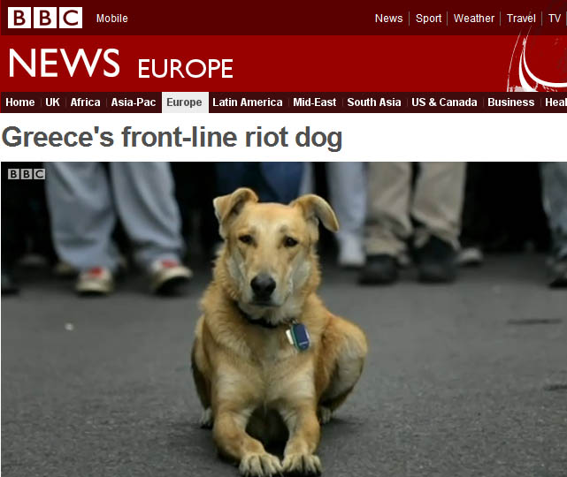 loukanikos-greek-riot-dog-bbc