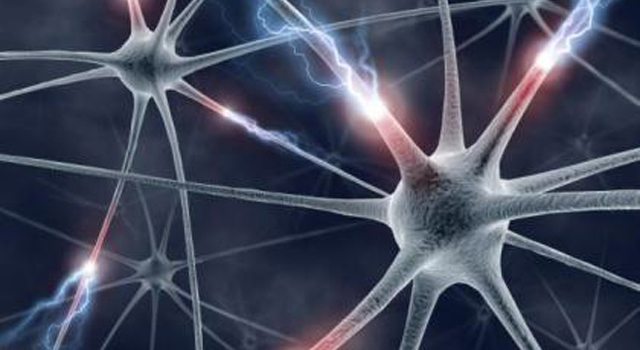 neural network