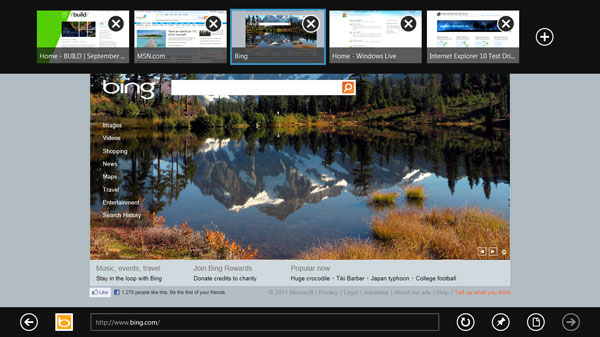 screenshot_IE10_page