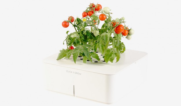 848_click_grow-625x368