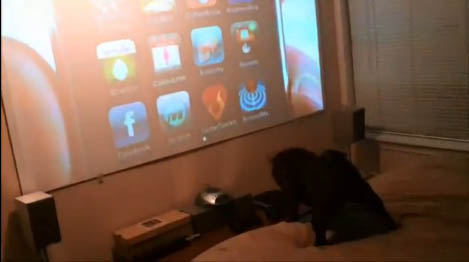 dog-iphone