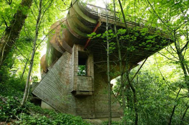 tree-house-robert-harvey-oshatz