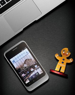 zte-kis