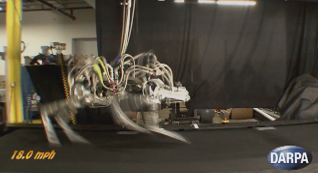 darpa cheetah