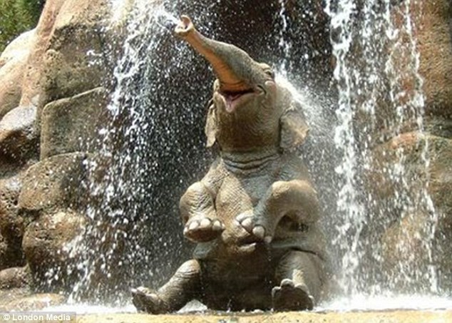 laughing elephant