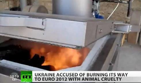 #OpUkraine