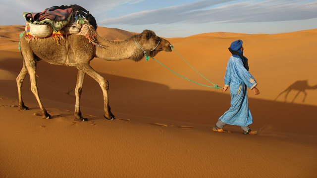iphone sahara