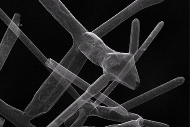 aerographite2