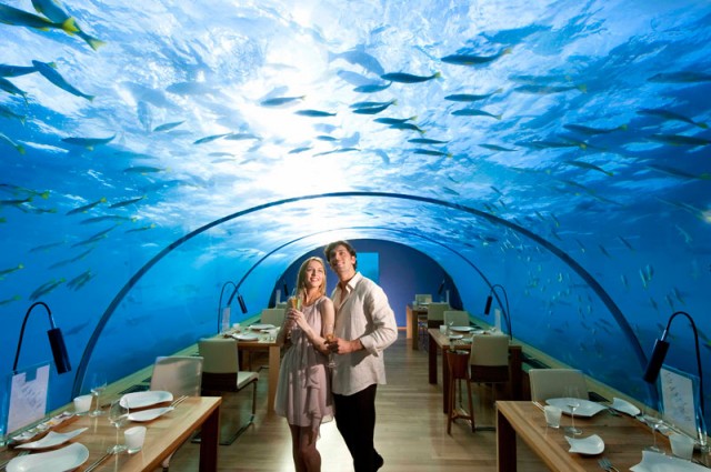 ithaa-underwater-restaurant-maldives-03