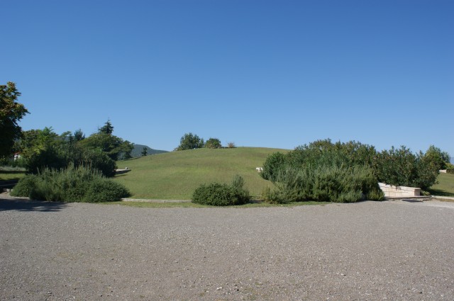 SONY DSC