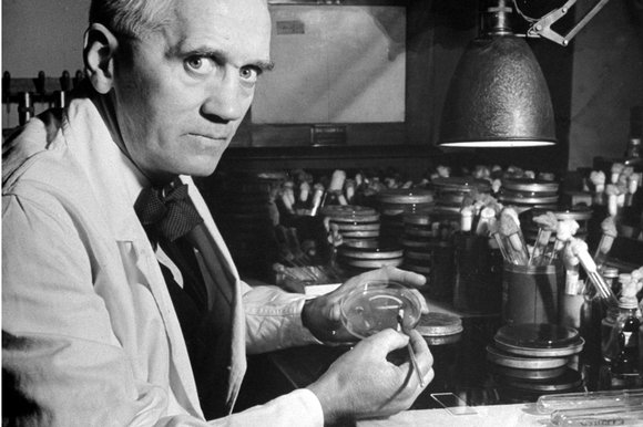 Alexander-Fleming_248169k
