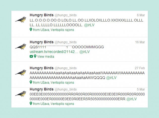 real-birds-on-twitter-3