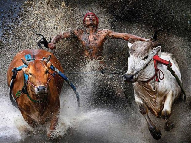 Press Photo Contest 09