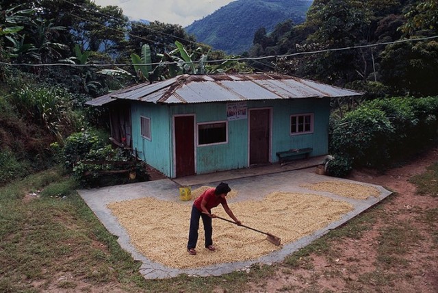 stevemccurryhomeagainbrazil4