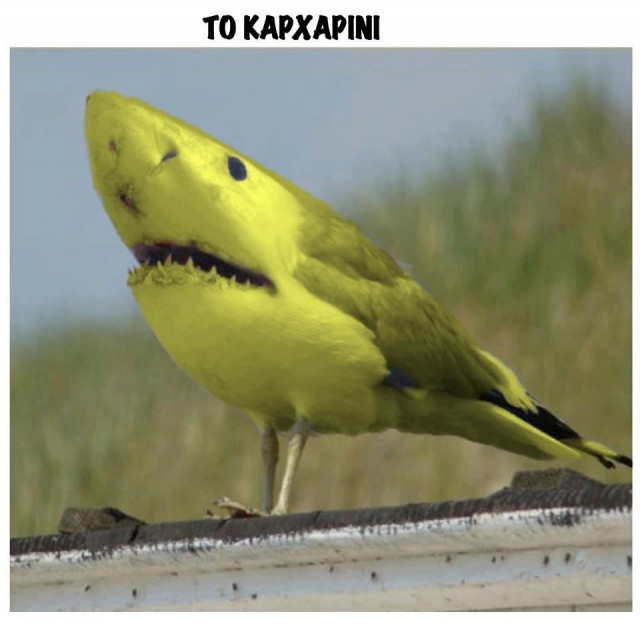 to-karxarini