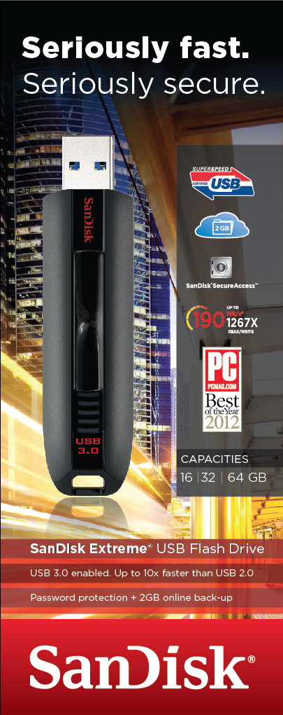 SanDisk 2013-06-20 Roll up banner 1