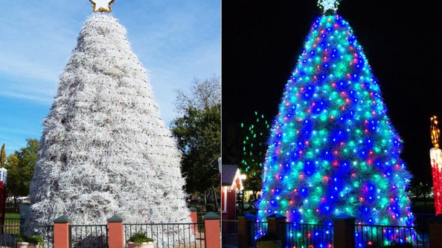 xmas-tree-01