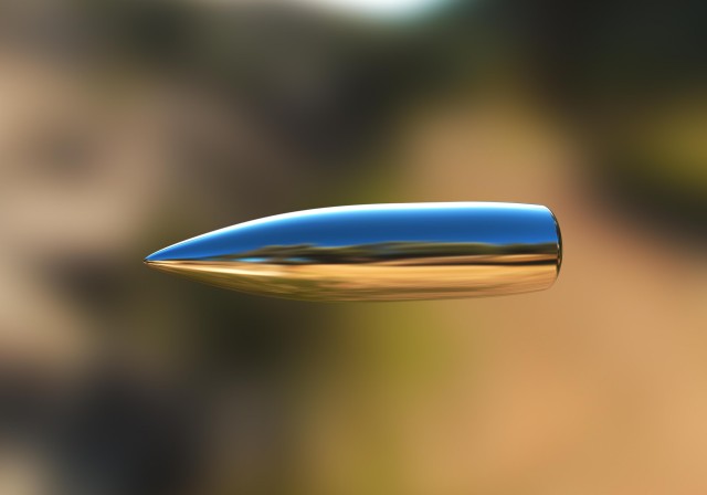 bullet