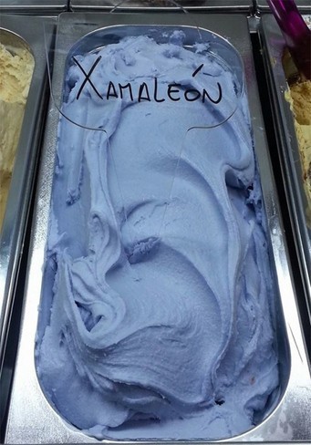 xamaleon