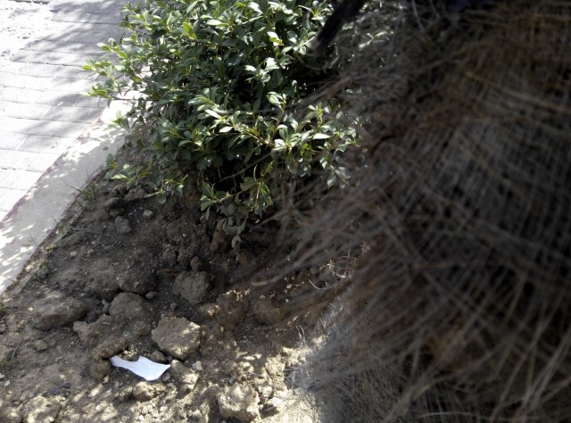 xiaomi redmi note camera (5) (Large)