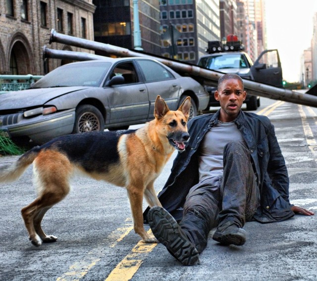 movies_dogs_people_actors_will_smith_i_am_legend_4000x2657_wallpaper_Wallpaper_1080x960_www.wallpaperswa.com