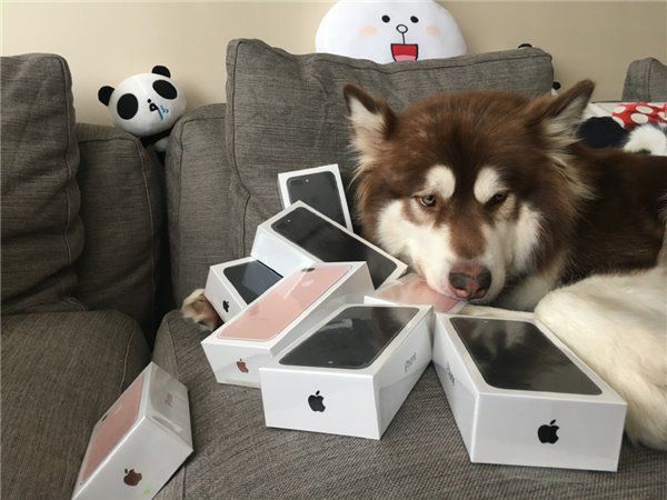 coco-iphone-7