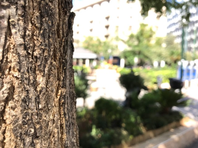 iphone-7-camera-2