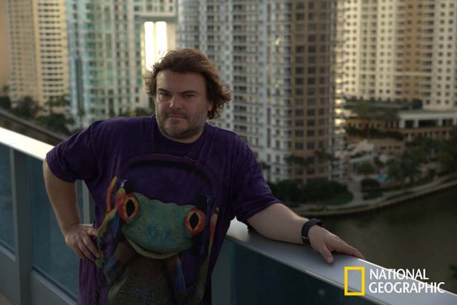 yold2_jackblack