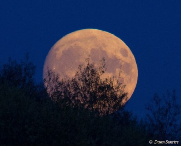 super-moon-04