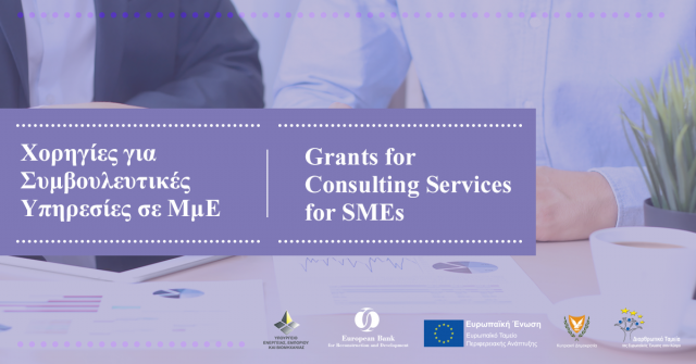 GRANTS FOR CONSULTING SERVICES FOR SMEs