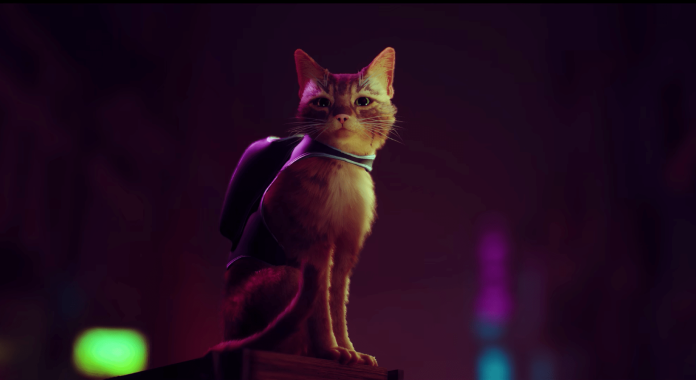 Stray