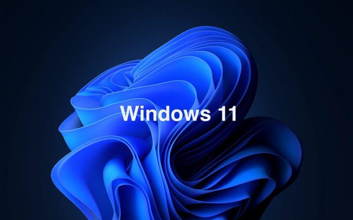 Windows 11
