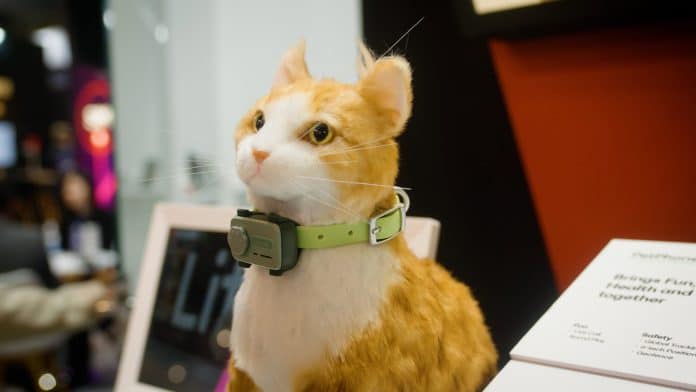 glocalme petphone