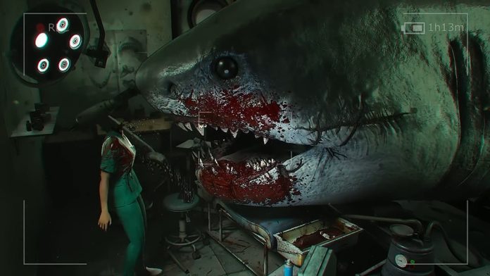 Shark Dentist