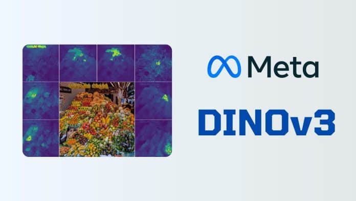 meta dinov3